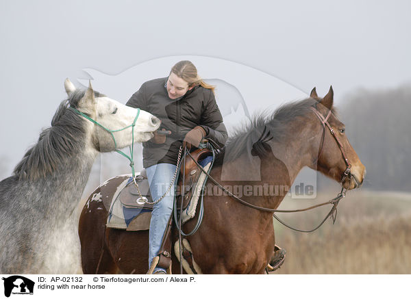 reiten mit Handpferd / riding with near horse / AP-02132