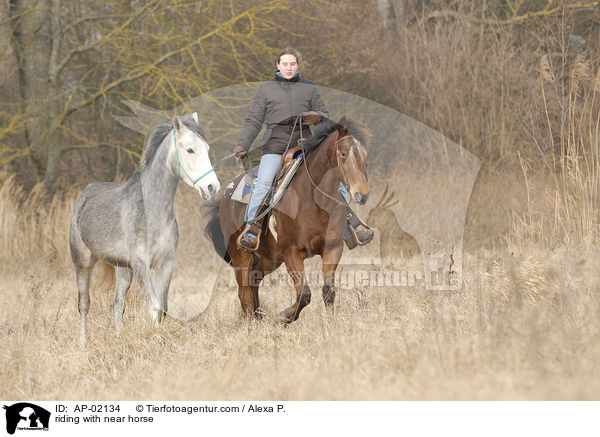 reiten mit Handpferd / riding with near horse / AP-02134