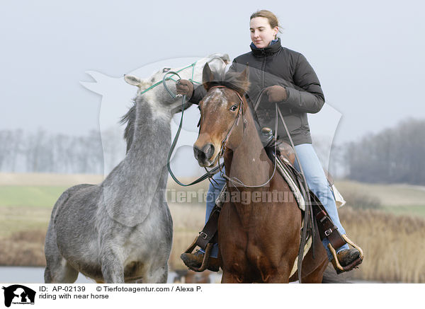 reiten mit Handpferd / riding with near horse / AP-02139