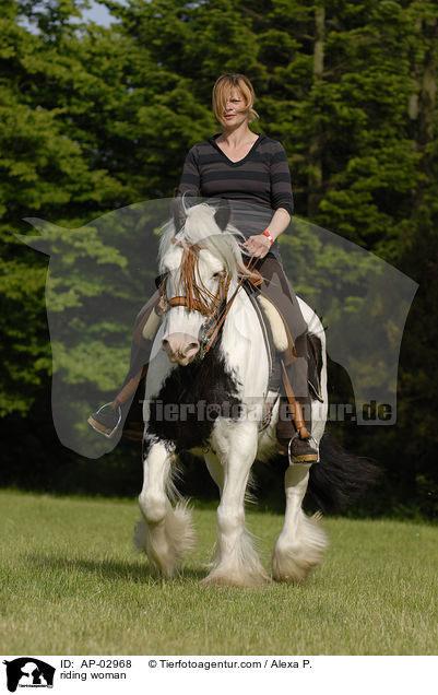 Freizeitreiten / riding woman / AP-02968