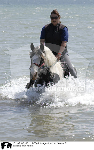 mit Pferden baden / bathing with horse / AP-03103