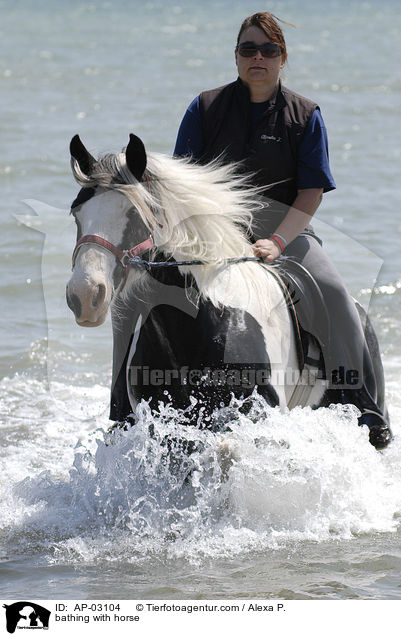 bathing with horse / AP-03104