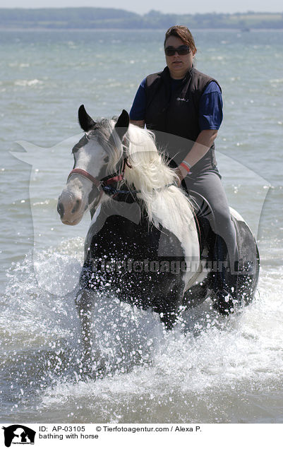 bathing with horse / AP-03105