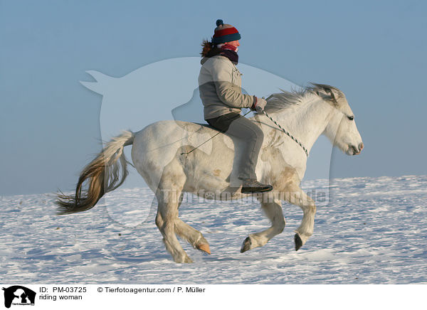 Freizeitreiten / riding woman / PM-03725