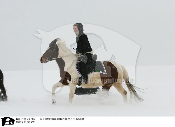 reiten im Schnee / riding in snow / PM-03750