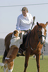 rider accompanied by dog