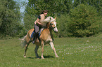 woman rides Haflinger horse