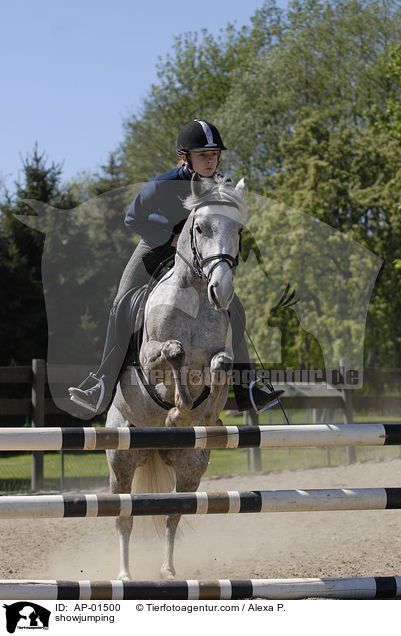 Springen / showjumping / AP-01500