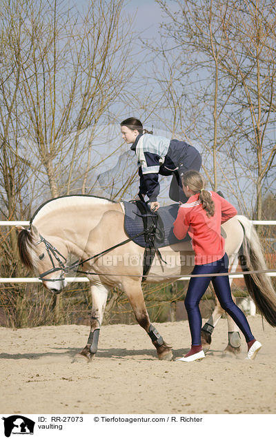 Voltigieren auf Fjordpferd / vaulting / RR-27073