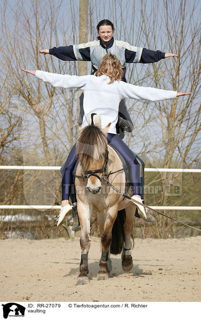 Voltigieren auf Fjordpferd / vaulting / RR-27079