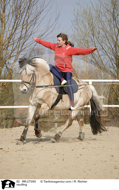 Voltigieren auf Fjordpferd / vaulting / RR-27095