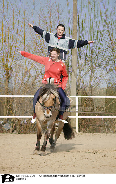 Voltigieren auf Fjordpferd / vaulting / RR-27099