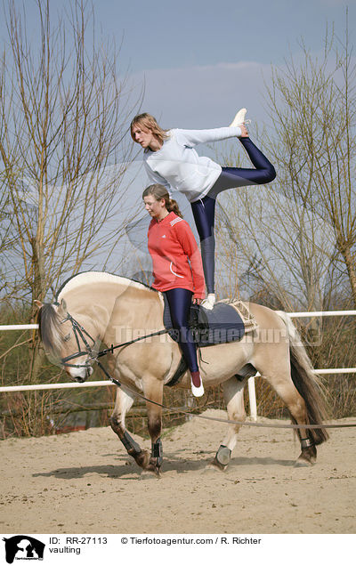 Voltigieren auf Fjordpferd / vaulting / RR-27113