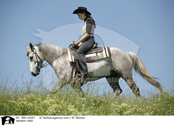 Westernreiter / western rider / RR-14091