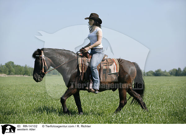 Westernreiter / western rider / RR-14102