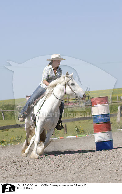 Tonnenreiten / Barrel Race / AP-03014