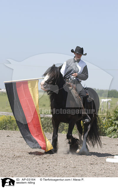 Westernreiten / western riding / AP-03164