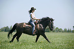 western rider