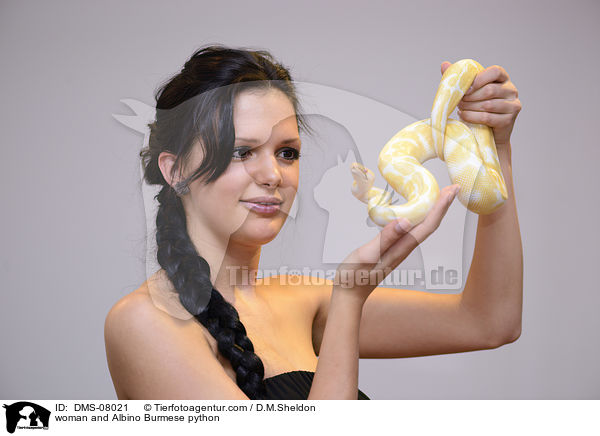 woman and Albino Burmese python / DMS-08021