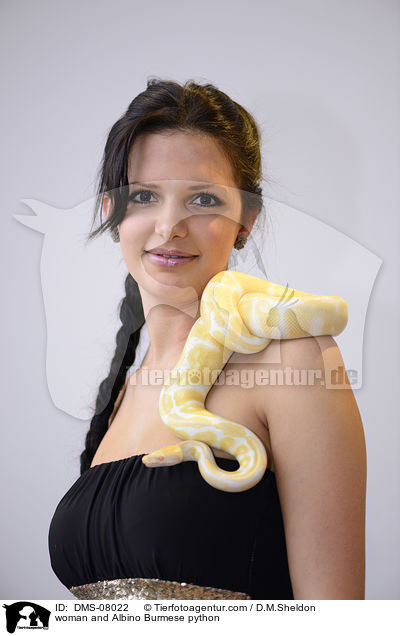 Frau und Albino Dunkler Tigerpython / woman and Albino Burmese python / DMS-08022