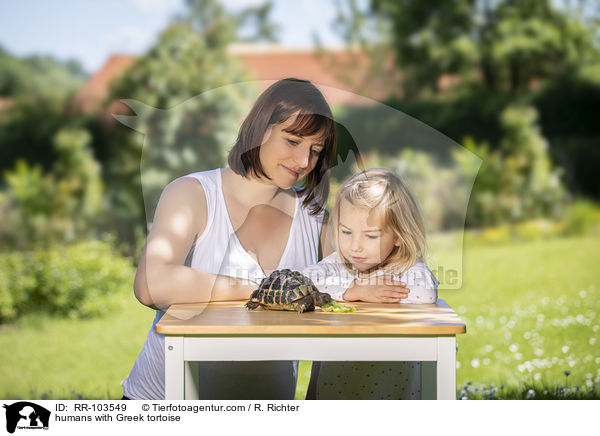humans with Greek tortoise / RR-103549