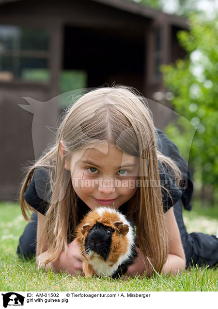 girl with guinea pig / AM-01502