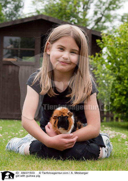 Mdchen mit Meerschwein / girl with guinea pig / AM-01503
