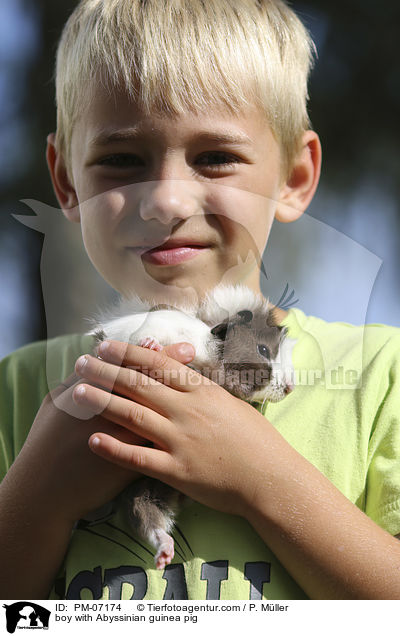 Junge mit Rosettenmeerschwein / boy with Abyssinian guinea pig / PM-07174