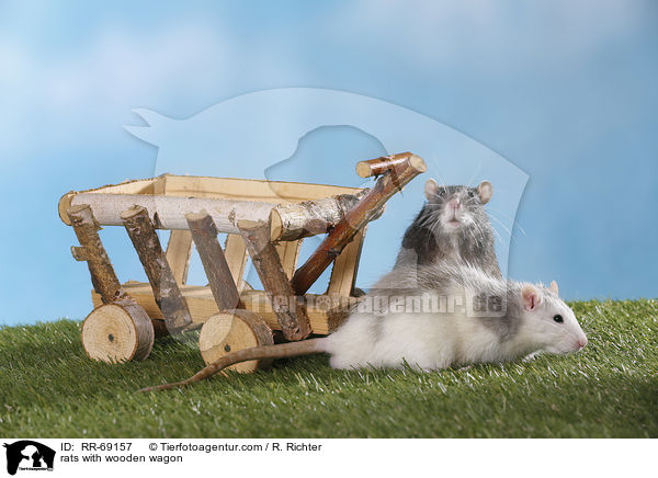 Ratten mit Holzwagen / rats with wooden wagon / RR-69157