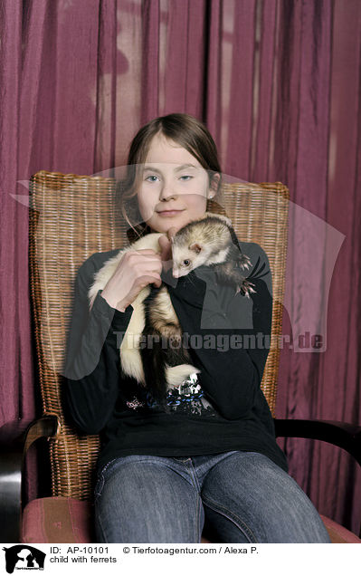 Kind mit Frettchen / child with ferrets / AP-10101