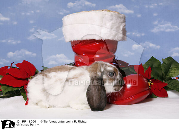 Weihnachtskaninchen / christmas bunny / RR-18566