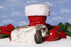 christmas bunny