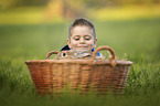 boy with rabbit