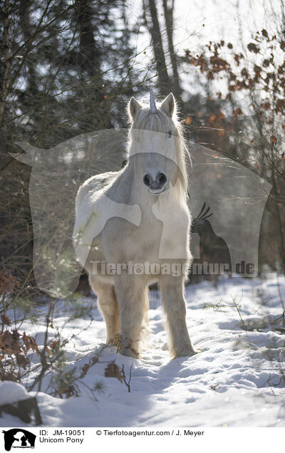 Unicorn Pony / JM-19051