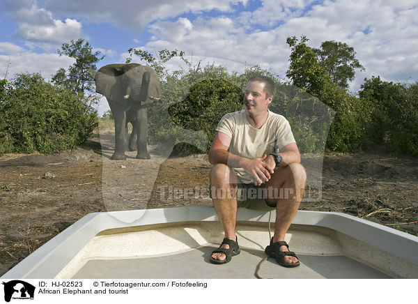 Afrikanischer Elefant und Tourist / African Elephant and tourist / HJ-02523