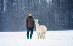 woman and alpaca