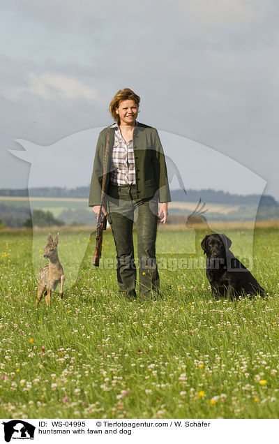 huntsman with fawn and dog / WS-04995