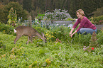 woman and young roe deer
